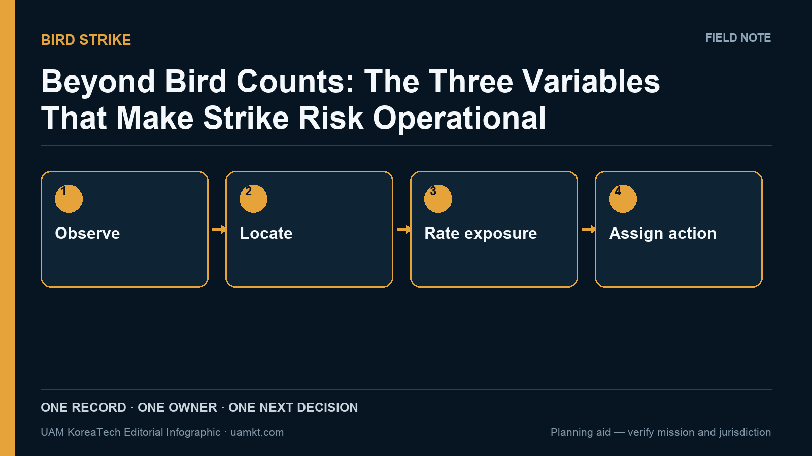 Beyond Bird Counts: The Three Variables That Make Strike Risk Operational — editorial decision-flow infographic